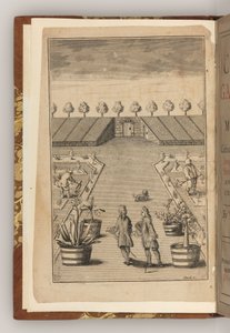 Het frontispice van The City Gardener door Thomas Fairchild door English School
