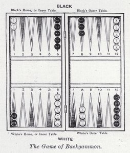 Het spel Backgammon