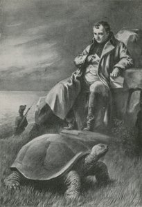 De reuzenschildpad die Napoleon zag door English School