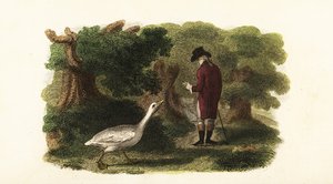 De mannelijke gans Jacquot en zijn menselijke vriend, een Franse heer door English School