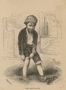 De modderlark