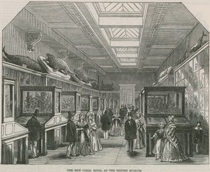 De nieuwe Koraalkamer in het British Museum door English School