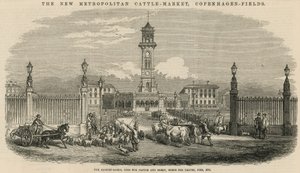 De nieuwe Metropolitaan Veemarkt, Kopenhagen Velden