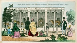 Het nieuwe gebouw, onder het terras, gebouwd voor de leeuwen, tijgers en andere soortgelijke dieren