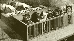 De piano van katten door English School