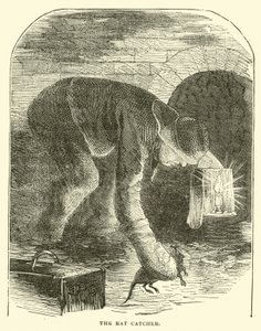 De rattenvanger