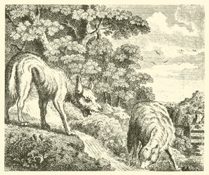 De wolf en het lam door English School