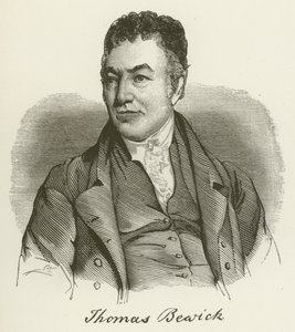 Thomas Bewick door English School