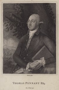Thomas Pennant, Welshe natuuronderzoeker en topograaf door English School