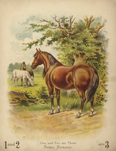 Drie Paarden