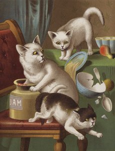 Drie Kitten Dieven door English School