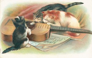 Drie katten spelen met een akoestische gitaar door English School