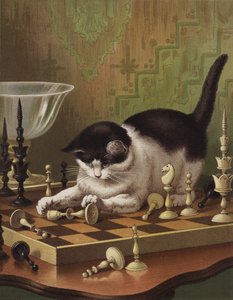 Tib speelt schaak