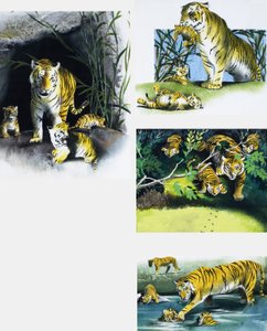 Tijger en welpen door English School