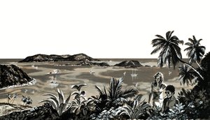 Tobago is een idyllisch eiland in de West-Indië