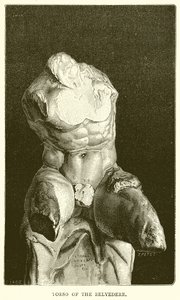 Torso van de Belvedere door English School