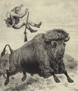 Gegooid door een prairie stier door English School