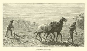 Turkmeense ploeg