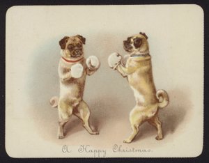 Twee honden die boksen