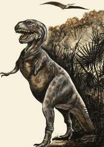 Tyrannosaurus Rex door English School