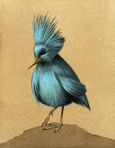 Ongeïdentificeerde loopvogel