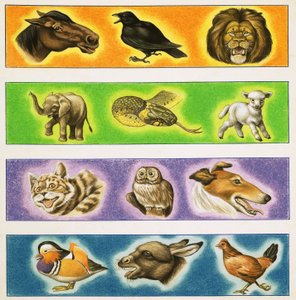 Ongeïdentificeerde montage van dieren door English School