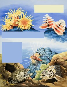 Ongeïdentificeerde onderwaterflora en -fauna door English School