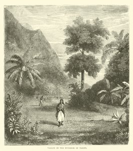 Vallei in het binnenland van Tahiti