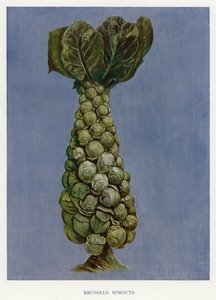 Groentekwekersgids: Spruitjes (kleur litho)