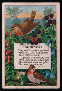 Vers, bessen en vogels, nieuwjaarswenskaart