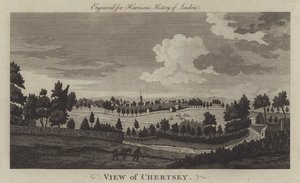 Uitzicht op Chertsey, Surrey (gravure)