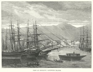 Gezicht op Honolulu, Sandwicheilanden (gravure) door English School