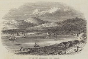 Uitzicht op Port Wellington, Nieuw-Zeeland (gravure) door English School