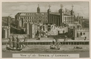 Uitzicht op de Tower of London door English School