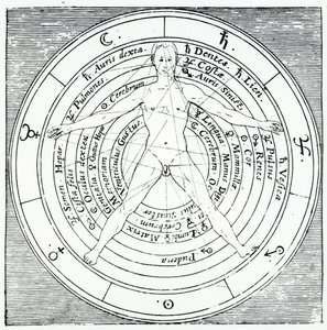 Vitruviaanse figuur, uit 