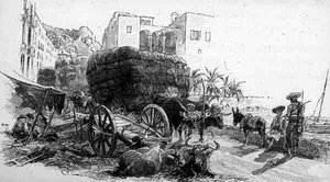 Wagens met Espartogras, Almeria, Spanje, uit 