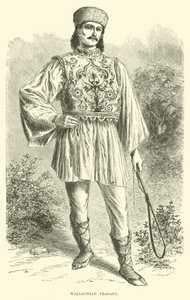 Walachijse boer door English School