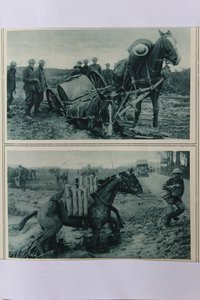 Oorlogspaarden zinken in de modder, Noord-Frankrijk, augustus 1917 door English School