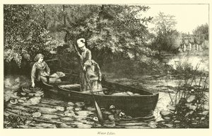 Waterlelies