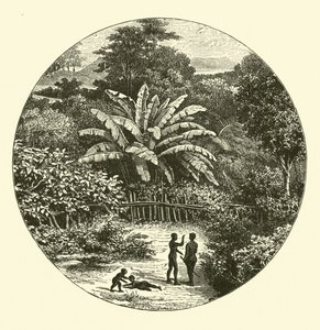 West-Afrika door English School