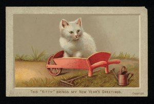 Witte kat in een kruiwagen, nieuwjaarskaart