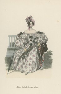 Wiener Zeitschrift, Juni 1834 door English School