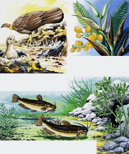 Montage van wilde dieren door English School