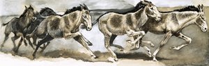 Wilde dieren in gevaar: De wilde ezel door English School
