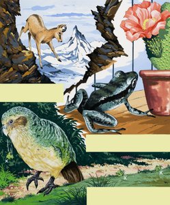 Wildlife montage door English School