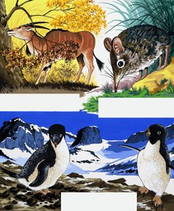 Wildlife montage door English School