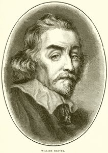 William Harvey door English School