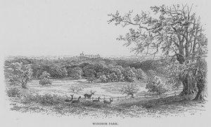 Windsor Park (gravure)