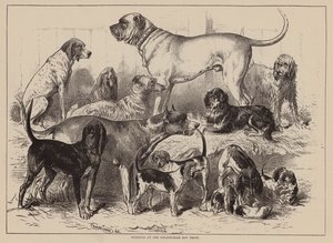 Winnaars op de Birmingham Dog Show (gravure) door English School