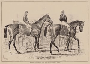 Winnaars van de Middle Park Plate en Caesarewitch Stakes (gravure) door English School